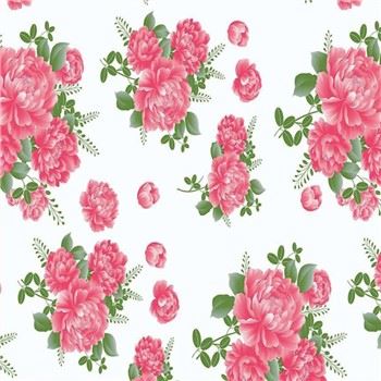 Blomstertrykt PPGI stålspole